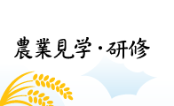 農業見学・農業研修