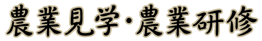農業見学・農業研修