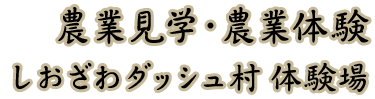 おのづか米工房