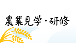 農業見学・農業研修